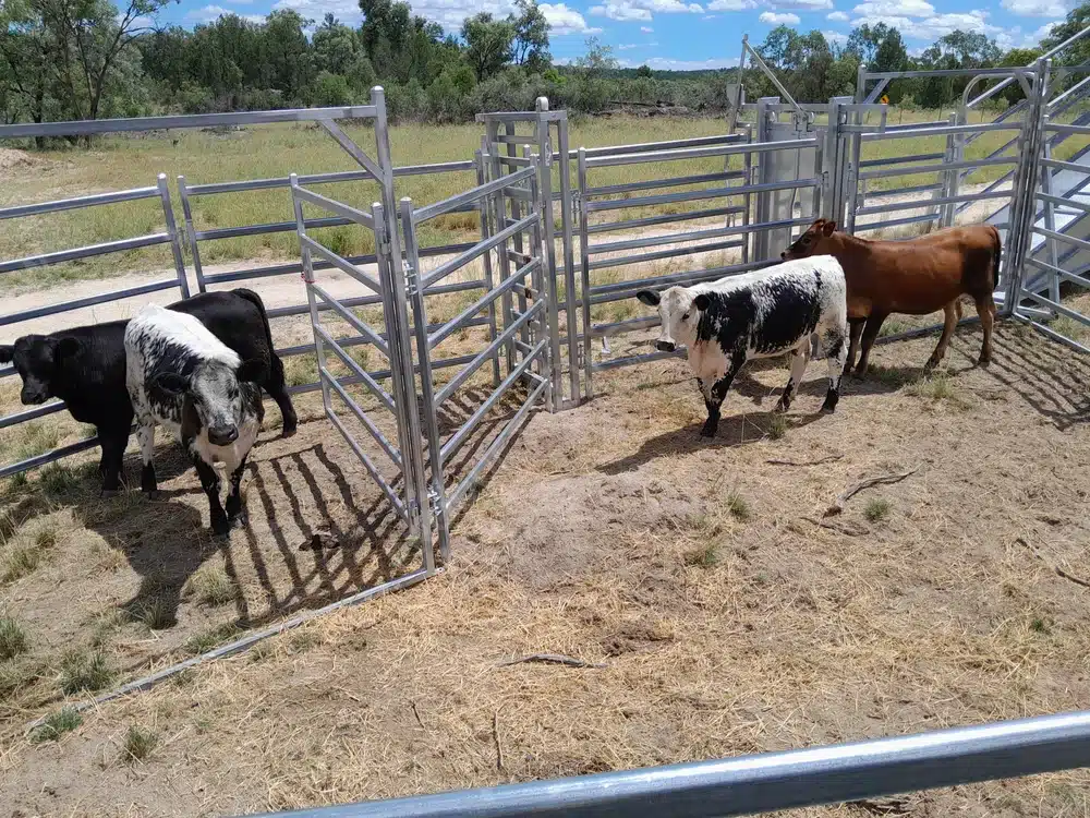 Fencing and livestock yards delivered to Brisbane