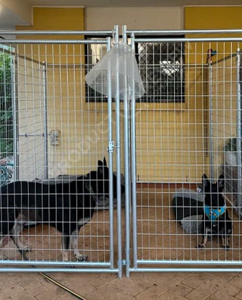 Galvanised mesh dog enclosure panels by Super Fence